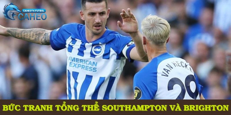 Bức tranh tổng thể về trận đấu Southampton và Brighton