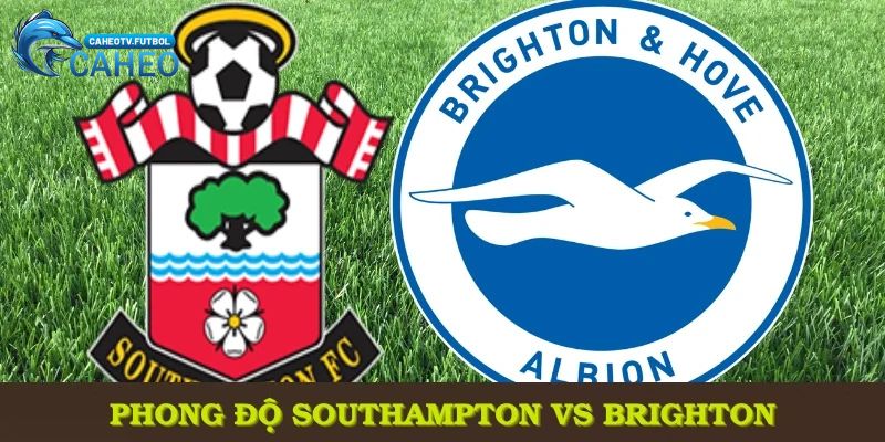 Nhận định phong độ gần nhất giữa hai đội Southampton vs Brighton