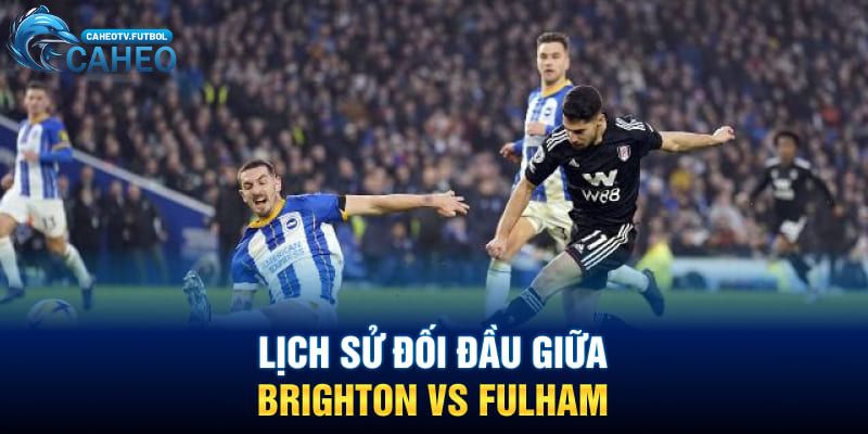 Lịch sử đối đầu nảy lửa giữa Brighton vs Fulham